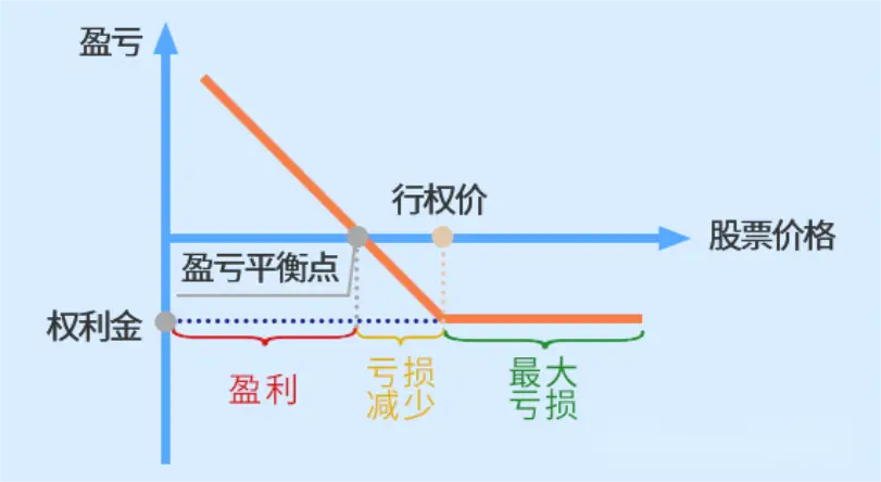 认沽期权全解析：买方卖方权利义务及买方买入情形探讨