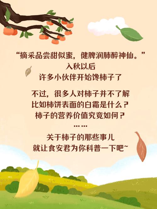 scintilla vc 关于柿子的传言真相：空腹吃易长结石