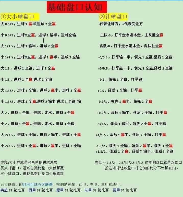 足球盘口+0.5/1含义与应用解析，助你深入理解