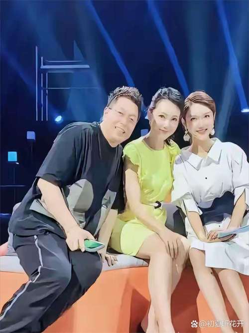 河南卫视女主持人苗婷_河南电视台主持人个人资料_河南电视台主持人介绍