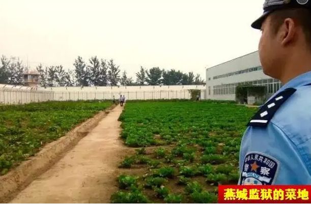 吴亦凡的最新照片_吴亦凡监狱生活_吴亦凡化学阉割刑罚