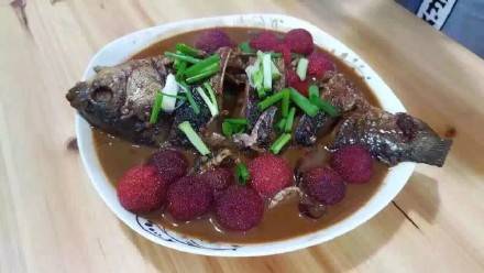 丽水摘杨梅_杨梅豆腐食谱_丽水杨梅新吃法