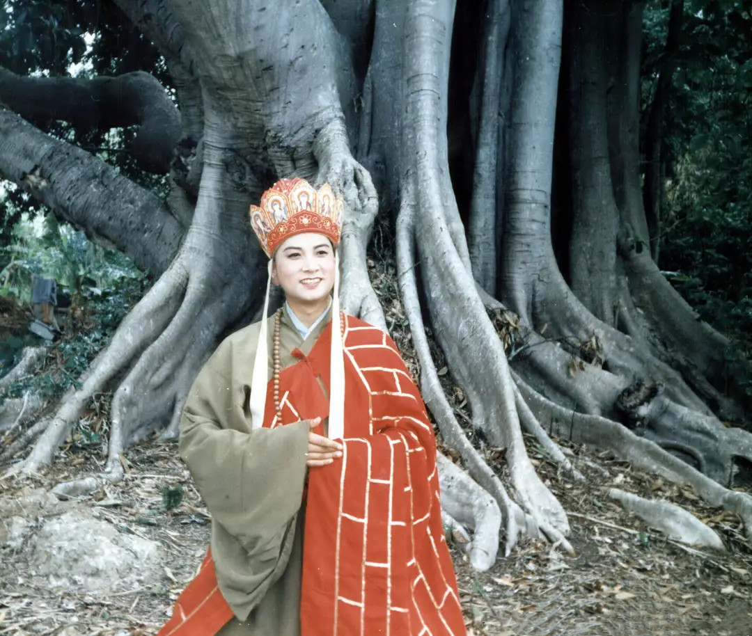汪粤 《西游记》 唐僧形象_汪粤演了几集西游记_汪粤 唐僧 饰演经历