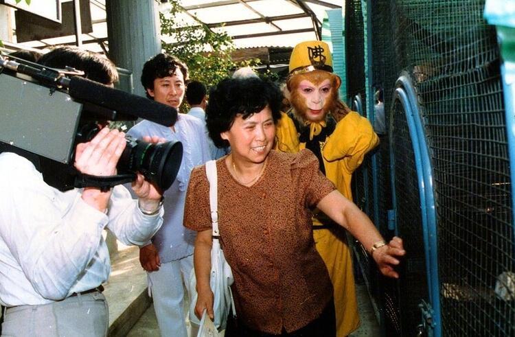 汪粤 《西游记》 唐僧形象_汪粤演了几集西游记_汪粤 唐僧 饰演经历