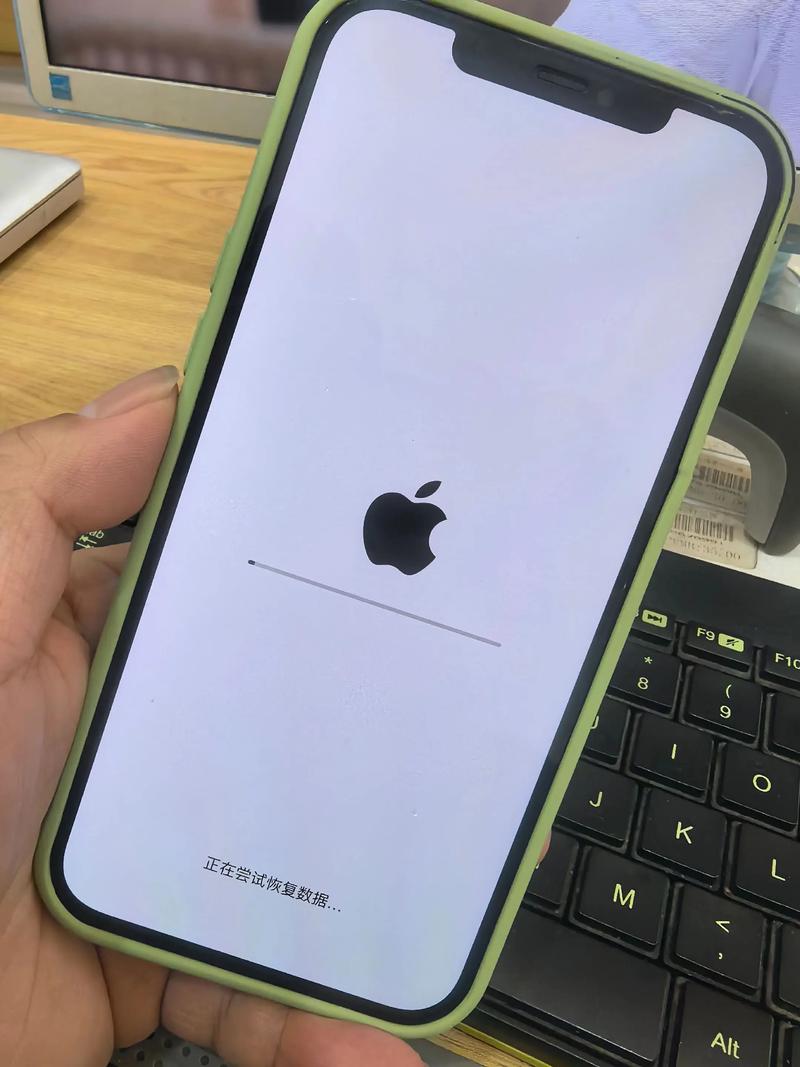 苹果维修状态查询_苹果直营店 翻新机 识别方法_iPhone 6 白苹果 故障维修记录