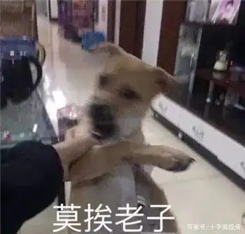 判断牛市顶部信号_如何判断牛市到顶_如何预测牛市走势