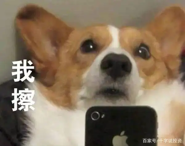 如何判断牛市到顶_判断牛市顶部信号_如何预测牛市走势