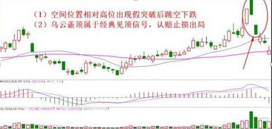 巴菲特价值投资理念_长期主义投资策略_巴菲特的投资智慧