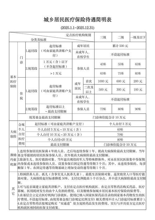 福建大病医疗保险报销范围解析：起付线标准、保障对象与合规医疗