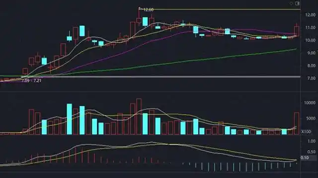股票创新高后怎么走？大涨之后的调整时机与老鸭头形态实战解析