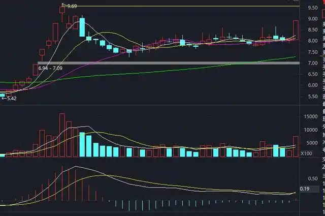 股票大涨后调整分析_股票调整多长时间_股票创新高后的走势