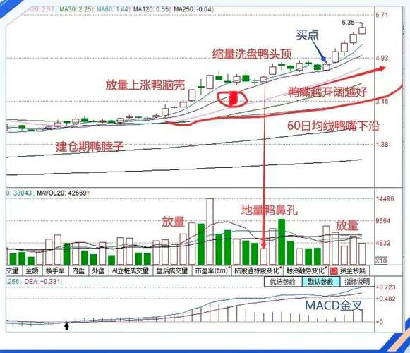 股票调整多长时间_股票大涨后调整分析_股票创新高后的走势