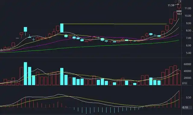 股票创新高后的走势_股票大涨后调整分析_股票调整多长时间