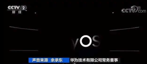 手机间谍软件 飞马 安卓12系统_手机软件监控软件