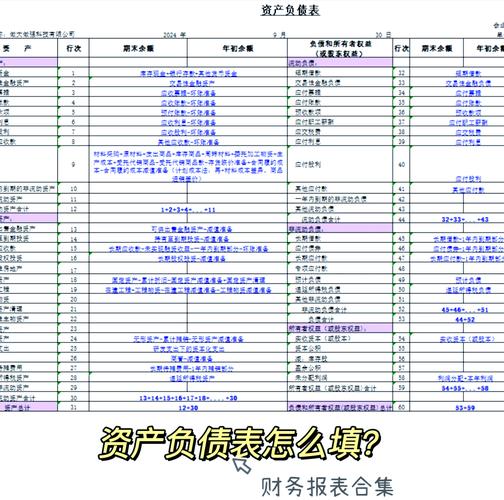 会计报表定义及格式_餐饮财务月报表格式_资产负债表财企01表定义格式