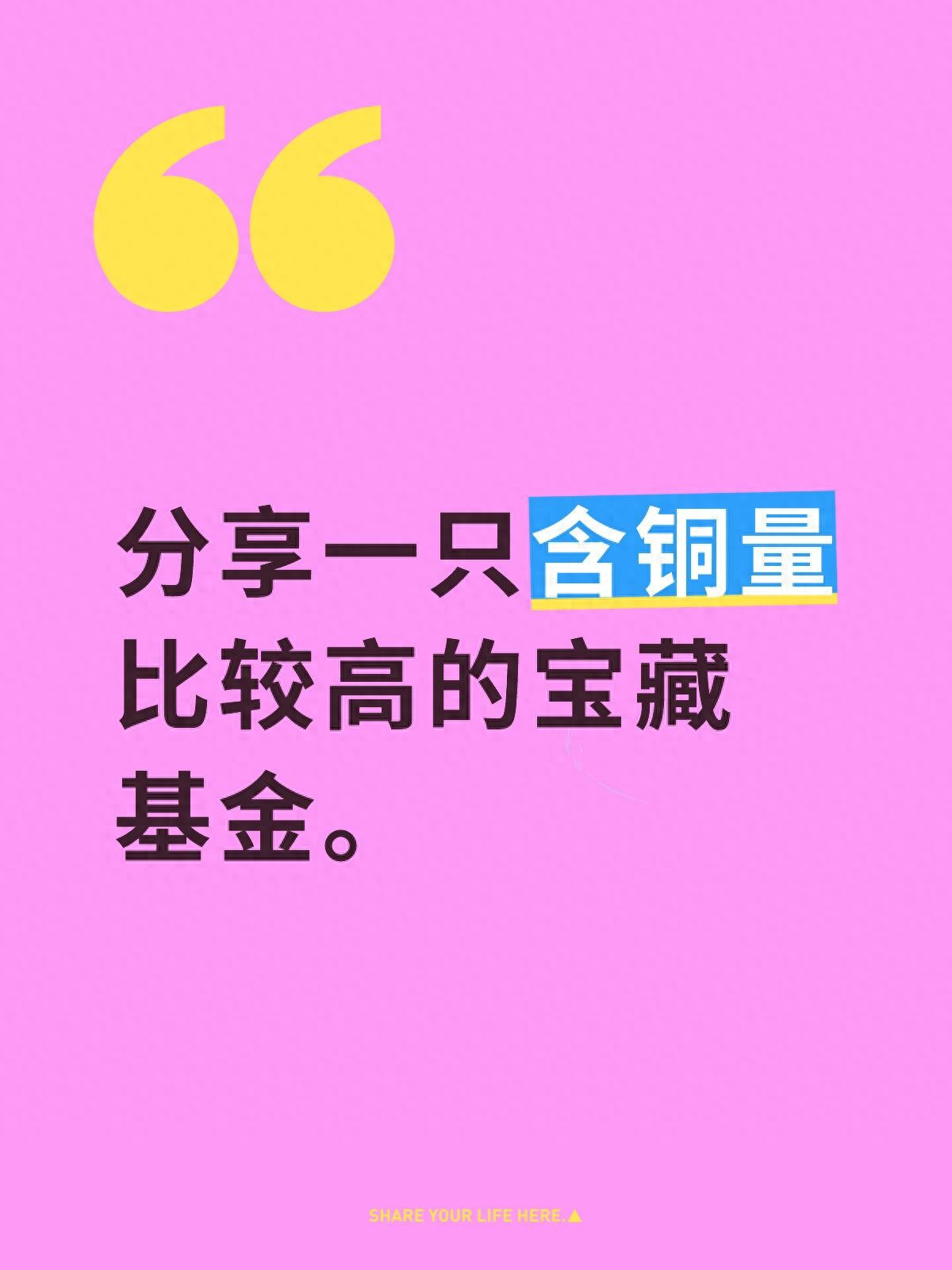 高含铜量基金投资逻辑_基金筛选器_被动与主动型基金区分
