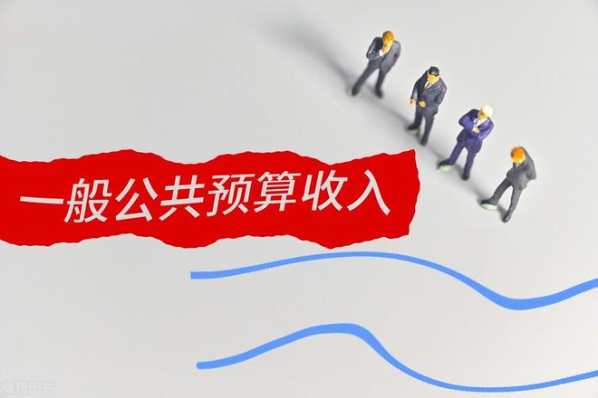 杭州地方财政收入构成_浙江省政府基金收入_浙江省各市两本账收入