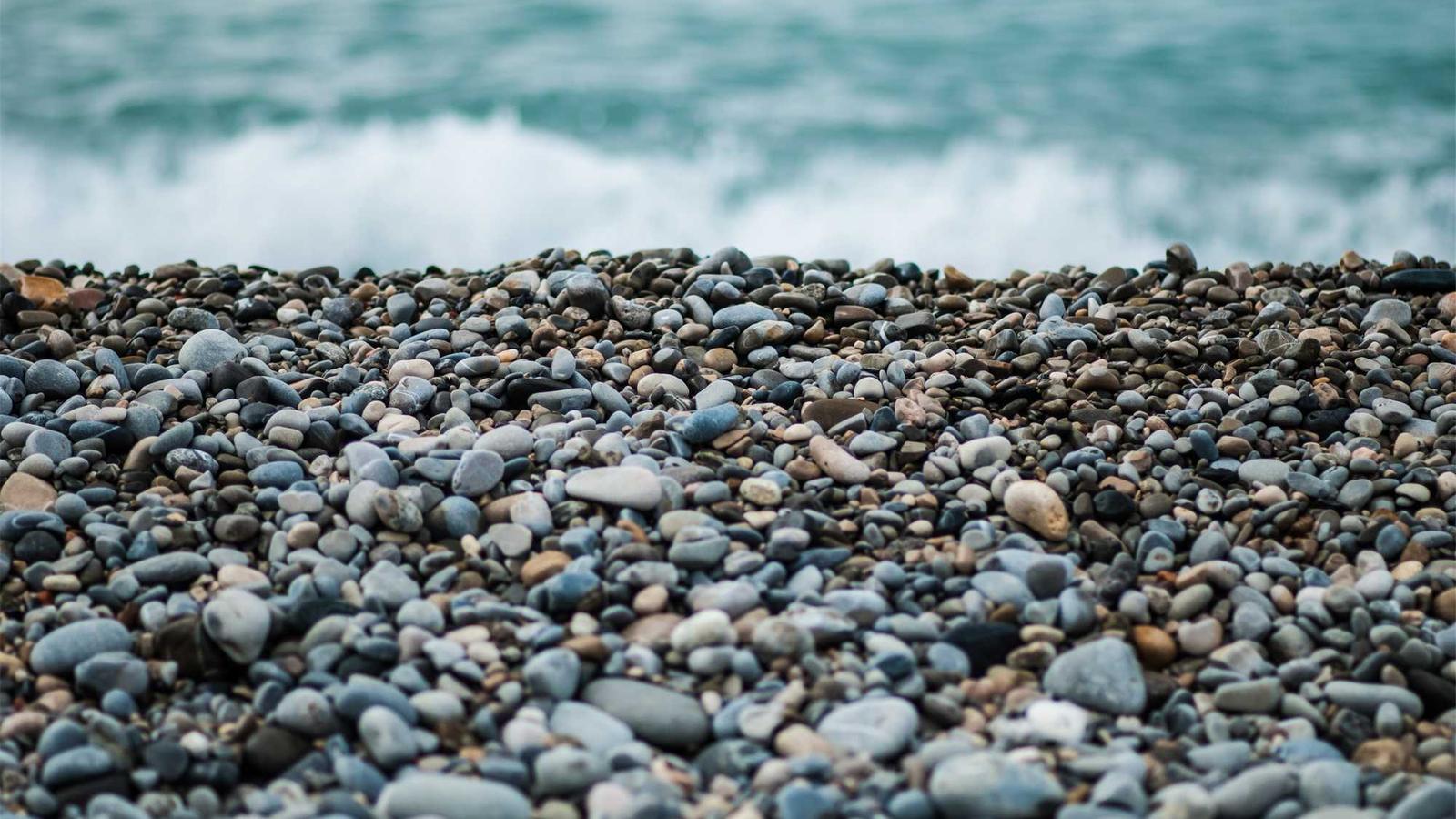 科技行业龙头股分析_2024年中国股市行业龙头股_股票行业龙头股