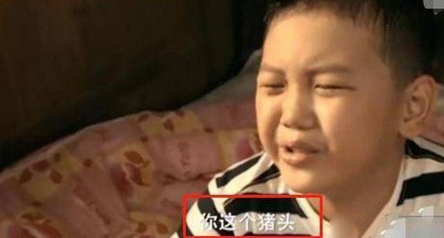 王艳的老公王志才多大_王艳 还珠格格 王志才