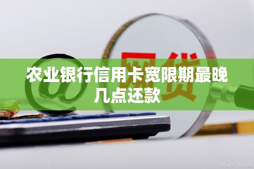 农业银行信用卡宽限期最晚几点还款