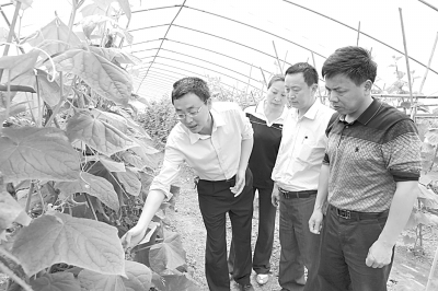 干部帮种菜，群众信任就来了