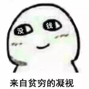 纽约年入50万美金的夫妻开销分析_高收入家庭经济拮据感_debt-to-equity ratio